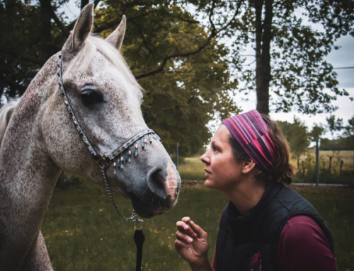 « Faire en sorte que mon objectif devienne son objectif »
