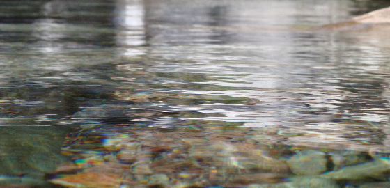 eau_riviere_corse_contact