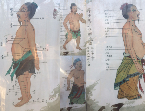 Diagnostic et thérapeutiques